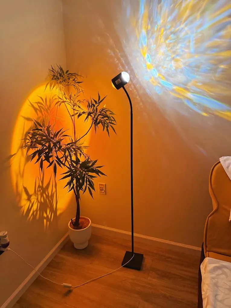 Warm light on the wall beside a tall plant at Crystal Massage